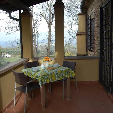 Comiti David 아파트