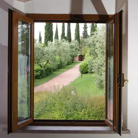 Comiti David Appartement