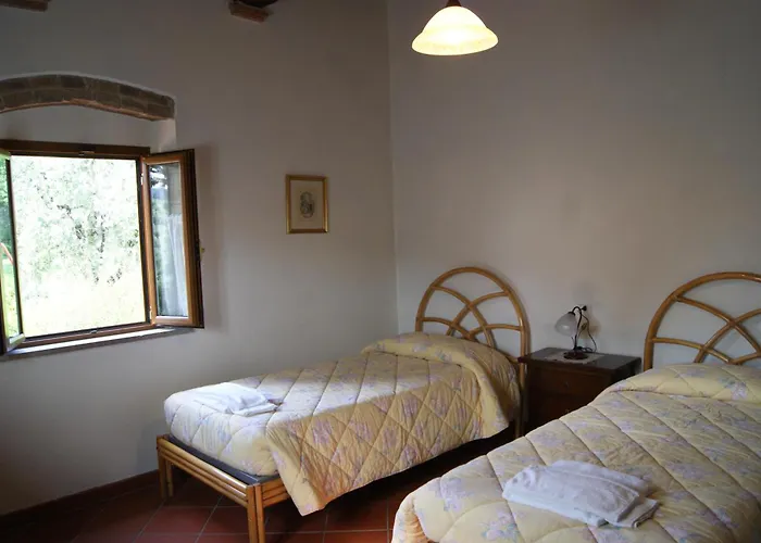 Comiti David * 몬타이오네