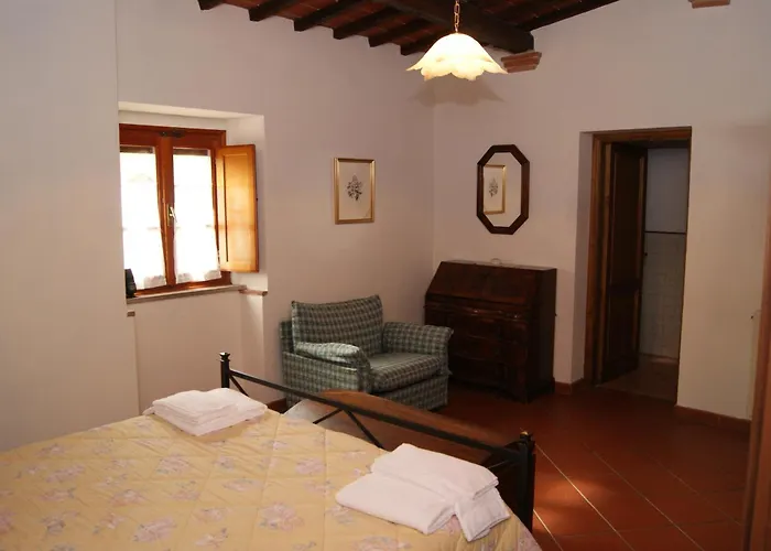 Comiti David 몬타이오네