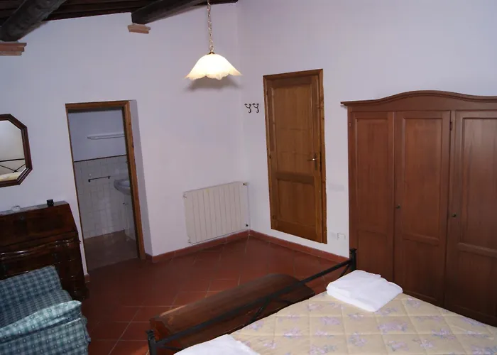 Comiti David 몬타이오네