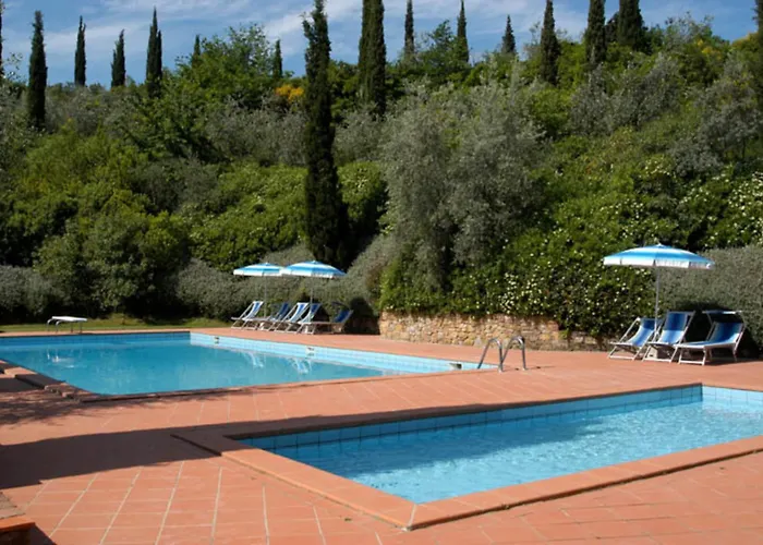 Comiti David 몬타이오네